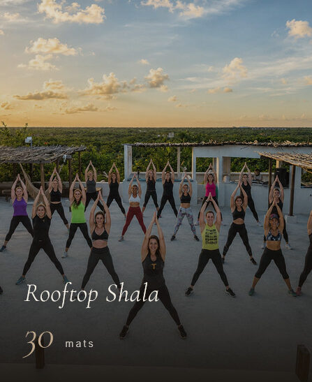 Rooftop yoga shala surrounded by the natural landscape of Tulum